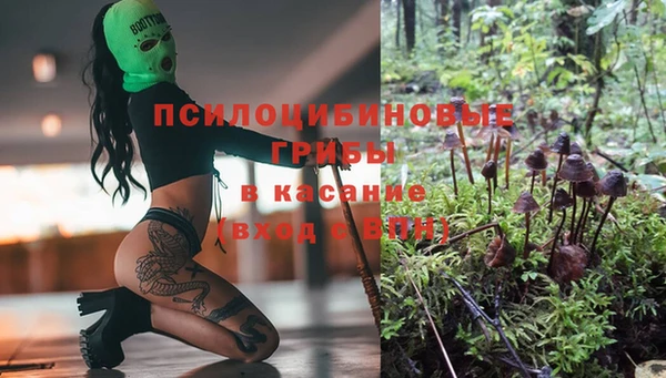 mdpv Алзамай