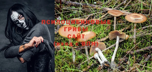 твердый Алексеевка